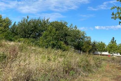 Reco Teren extravilan in Dragesti spre Stracos 3367mp - 4