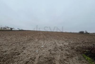 Teren Construcții intravilan de 1950 mp, în Merii - 2