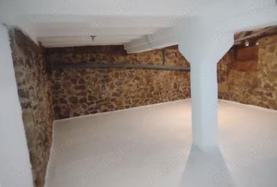 Spațiu comercial, de 300 mp, în Aradul Nou - 5