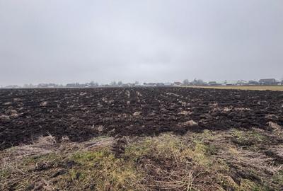 Teren intravilan, 3800mp , Fratautii vechi - 2