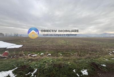 Teren de 4500 mp, în Dumbrava - 2