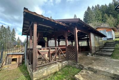 VIGAFON - Pensiune-casa de vacanta Predeal - 8