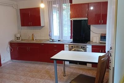 Casa de vacanta Crivaia, langa Valiug -locatie idilica, ideala pentru timp liber - 12