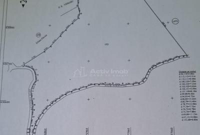 Teren 7 ha, Lac Vidraru, Podis Molivis - 3