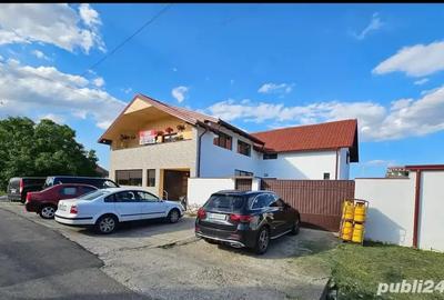 Vila cu spatiu pentru orice afacere - 3