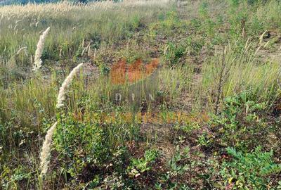 Teren cu autorizatie si proiect de construire, utilitati, Smeura - 8