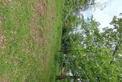 Teren de 2800 mp, în Periferie - 5