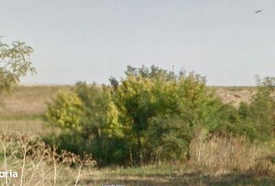 Teren de 5900 mp, în Liești - 7