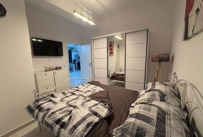 Apartament, 2 camere, open-space, Calea Bucuresti, Zona Electroputere - 4