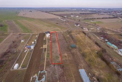 Teren Construcții intravilan de 1293 mp, în Cornetu - 8