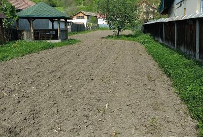 Teren de 900 mp, în Mănăstirea Cașin - 5