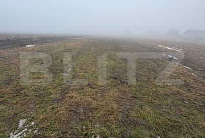 Teren de 2500 mp, în Pătrăuți