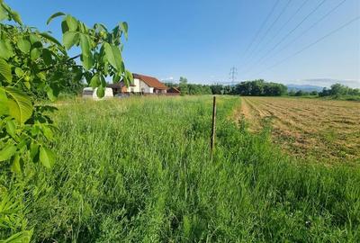 Teren Construcții intravilan de 2000 mp, în Stupini