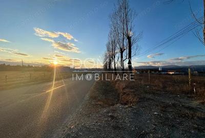 Vanzare teren intravilan 2,5 ha - infrastructura industriala ?i hala func?ionala - 5