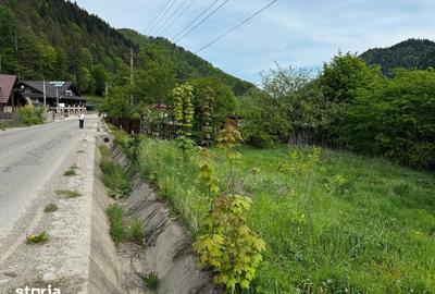 Teren de 4300 mp, în Tarcău - 4