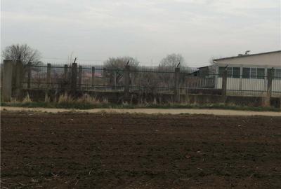 Teren de 8800 mp, în Vinerea - 1