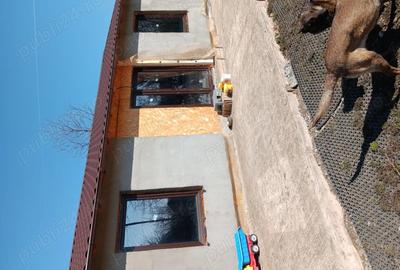 Casă în Târgșoru Nou - 2