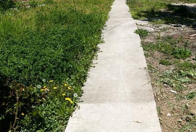 Casă cu 4 camere cu Teren 1769 Mp în Central - 2