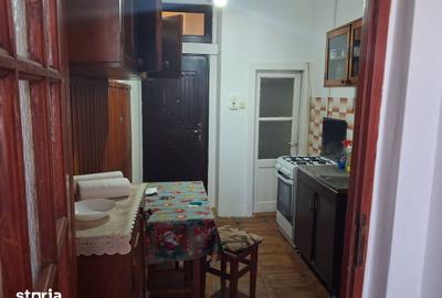 Apartament cu 2 camere în Iosefin - 5
