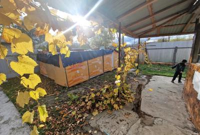 Casa batranesca de vanzare - 2