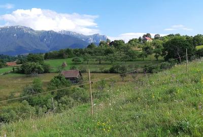 Spațiu comercial, în Bran - 4