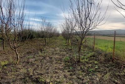 Vanzare teren în localitatea Răscruci - 7