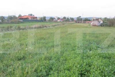 Teren de 6000 mp, în Turda