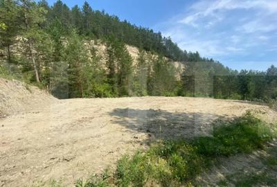 Teren de 842 mp, în Baciu - 3