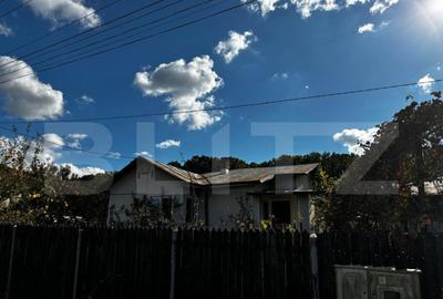 Casa Comuna Plopu , Sat Nisipoasa cu teren aproape de padure Casa Comuna Plopu , Sat Nisipoasa cu teren aproape de padure - 19