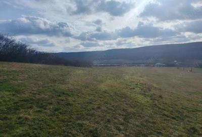 Teren de 5487 mp, în Betfia - 5