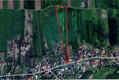 Teren Construcții intravilan de 16534 mp, în Siliștea Snagovului - 2