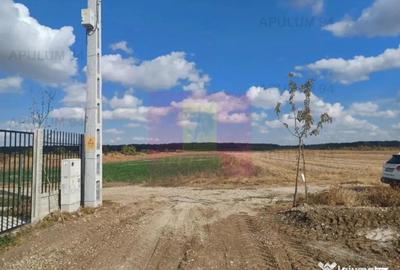 Teren în Gulia