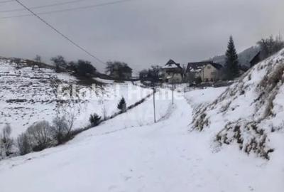 Teren de 725 mp, în Moieciu - 2