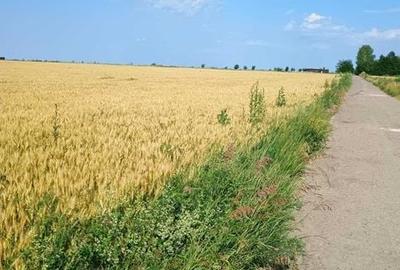 Teren de 5000 mp, în Miroslava