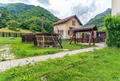 Cabana de vanzare -Marisel, 10 camere, terasa 41mp, piscina, ciubar - 3