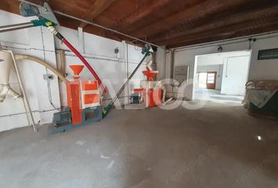 Casă cu 5 camere cu Teren 7830 Mp în Viștea - 12