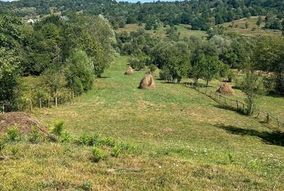 Teren de 6354 mp, în Albești - 2