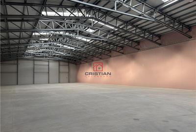 Depozit/hala/spatiu industrial Buftea - Tamasi, Ilfov - 3