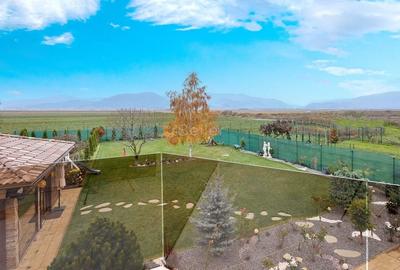 Structura Generoasa Zona Linistita - 45