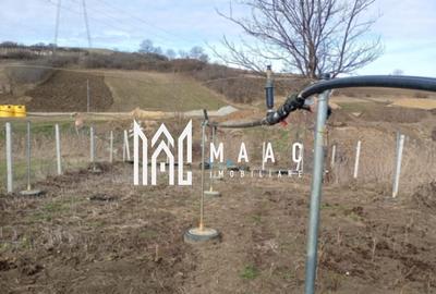 Teren agricol extravilan de 700 mp, în Șura Mare - 4