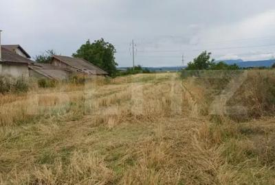 Teren de 6000 mp, în Turda - 3