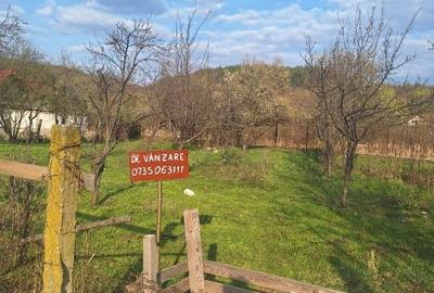 Teren Construcții intravilan de 542 mp, în Eșelnița - 3