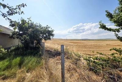 Casa de vanzare in Delta Dunarii - Tulcea, Jurilovca - 236mp utili, teren 5508mp - 11