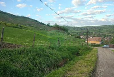 Teren de 1577 mp, în Târnăveni - 2