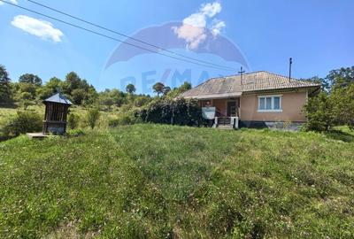 Casa cu teren generos de 62 ari - Berinta, Maramures - 1