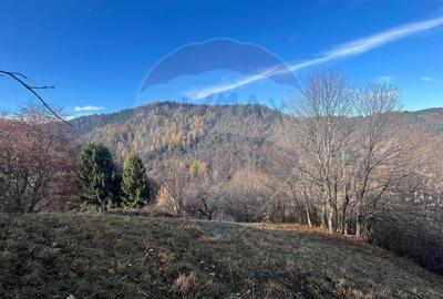 Teren Colinar Panoramic - 17.684 mp in Scheii Brasovului - 14