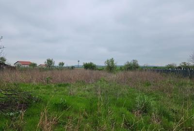 Casă cu 3 camere în Rogova - 1