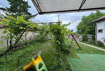 Casă cu 3 camere în Moara Vlăsiei - 8