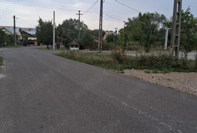 Teren 800 mp zona linistita Teren 800 mp zona linistita - 3