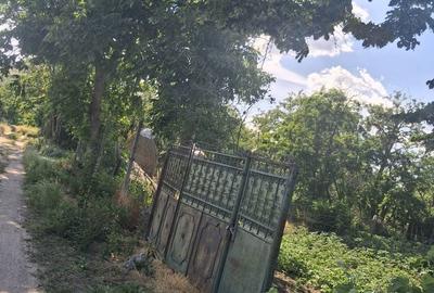Casă cu 3 camere în Izvoru Aneștilor - 1